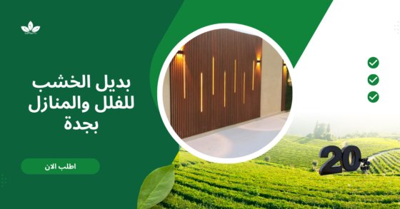 تكريب النخيل بجدة – خدمة احترافية للحفاظ على صحة النخيل وجمال الحدائق