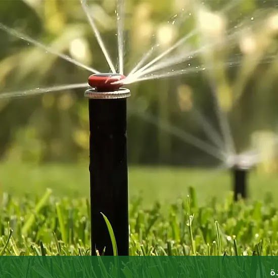 تنفيذ حدائق منزليه بجدة أفضل - شركة الجمال لتنسيق الحدائق بجدة