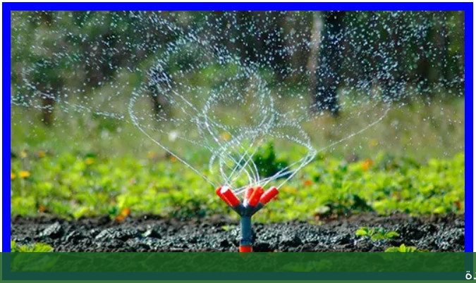 تنفيذ حدائق منزليه بجدة أفضل - شركة الجمال لتنسيق الحدائق بجدة