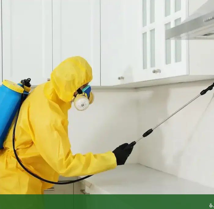 مظلات الحدائق في جدة: تصاميم - شركة الجمال لتنسيق الحدائق بجدة