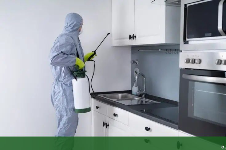 مظلات الحدائق في جدة: تصاميم - شركة الجمال لتنسيق الحدائق بجدة