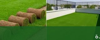 ثيل الطبيعي للمنازل بجدة: كيف - شركة الجمال لتنسيق الحدائق بجدة