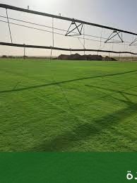 صيانة وتركيب لأنظمة الضباب والرذاذ - شركة الجمال لتنسيق الحدائق بجدة