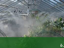 أفضل النباتات المناسبة لتزيين الحدائق - شركة الجمال لتنسيق الحدائق بجدة