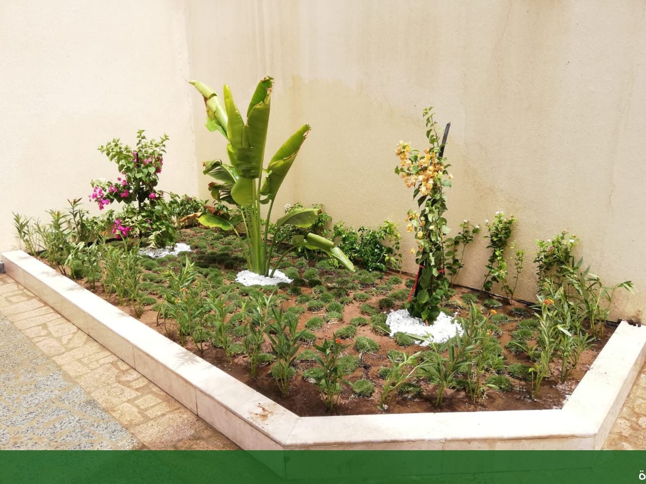 تزيين حدائق احواش بجدة تصاميم - شركة الجمال لتنسيق الحدائق بجدة