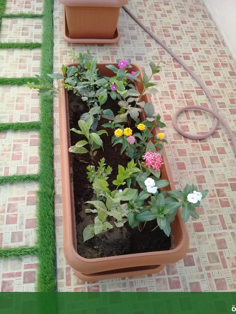 دليل كامل لتصميم حدائق منزلية - شركة الجمال لتنسيق الحدائق بجدة