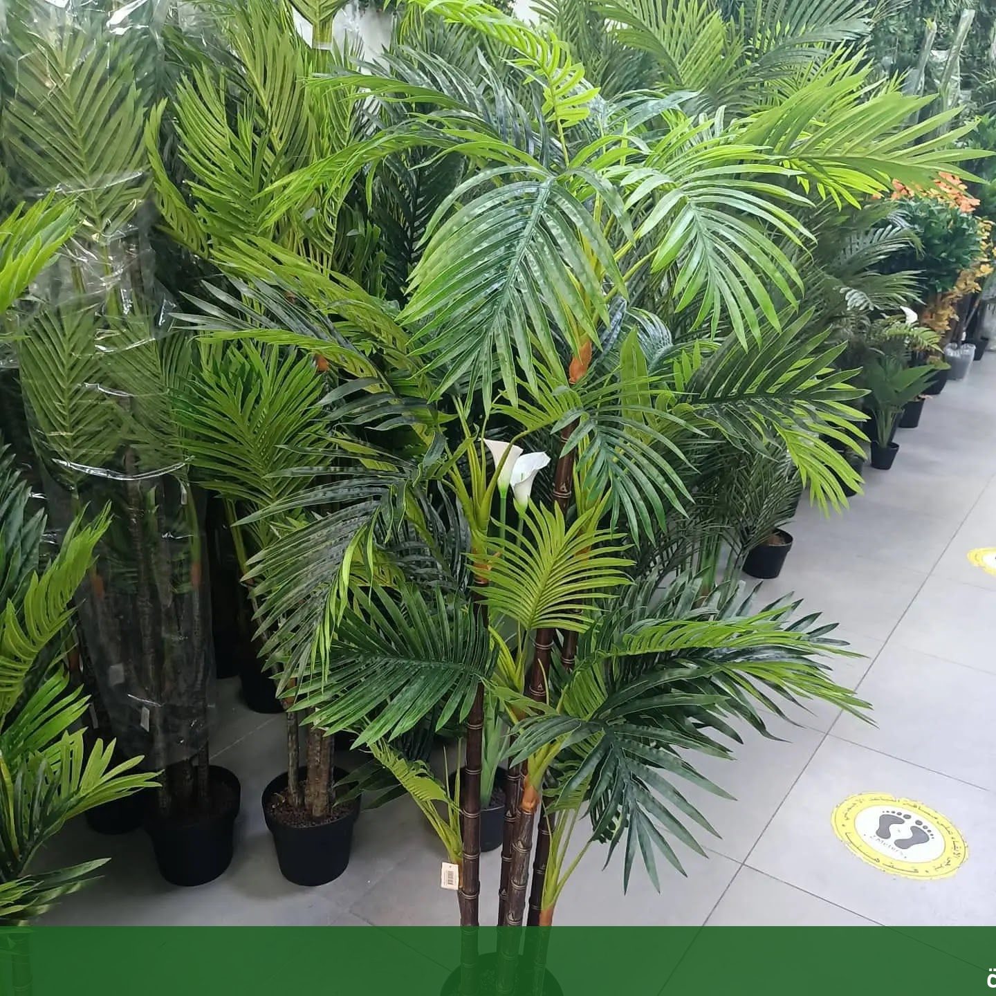 تنسيق حدايق جدة تصميم أفضل - شركة الجمال لتنسيق الحدائق بجدة