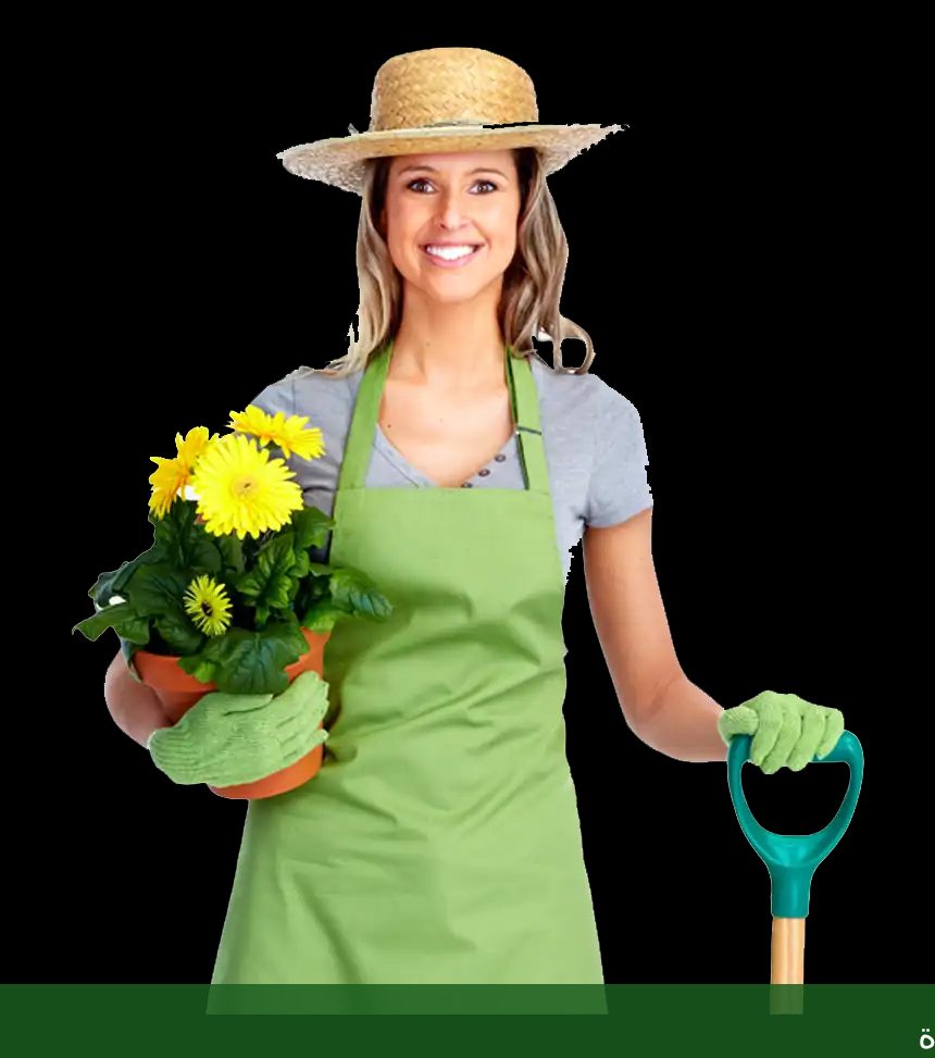 تركيب سجادة حشيش صناعي للمنازل - شركة الجمال لتنسيق الحدائق بجدة