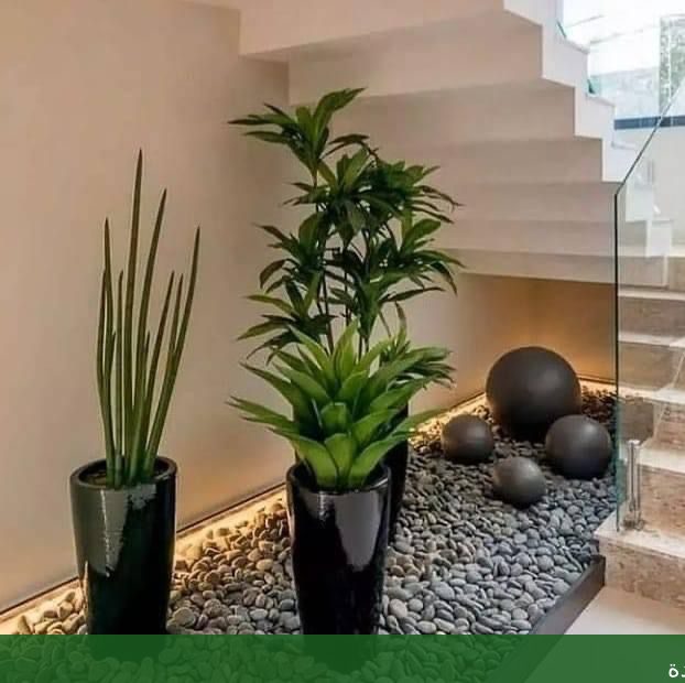 شركة تنسيق حدائق منزلية بجدة - شركة الجمال لتنسيق الحدائق بجدة