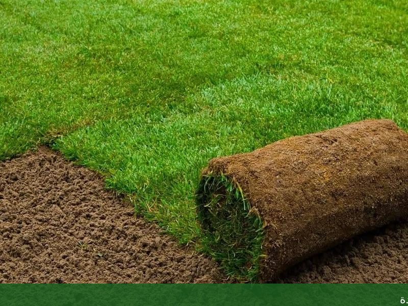 تنسيق حدائق منزلية بجدة تنسيق - شركة الجمال لتنسيق الحدائق بجدة