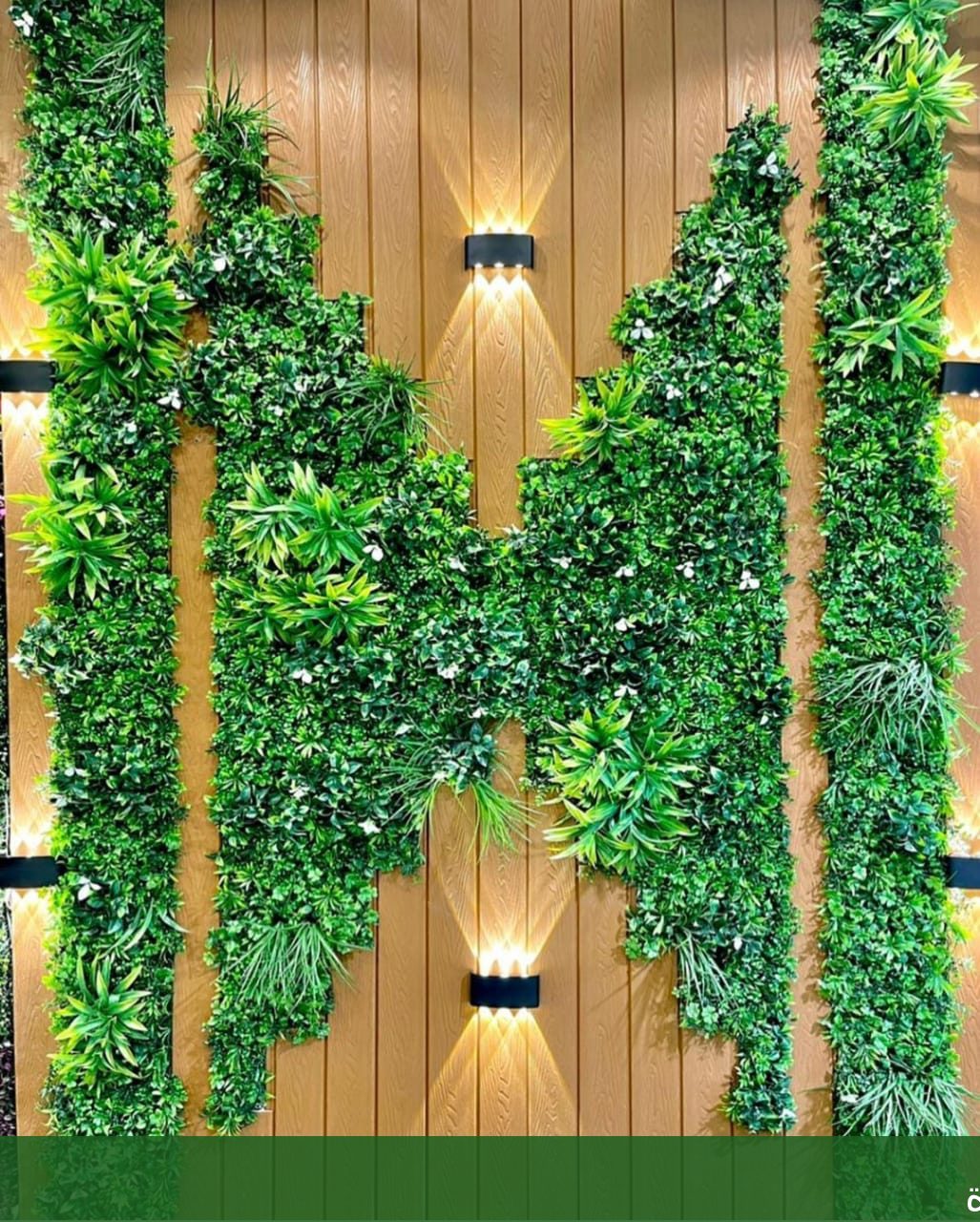 شركة متخصصة تنسيق الحدائق والزهور - شركة الجمال لتنسيق الحدائق بجدة