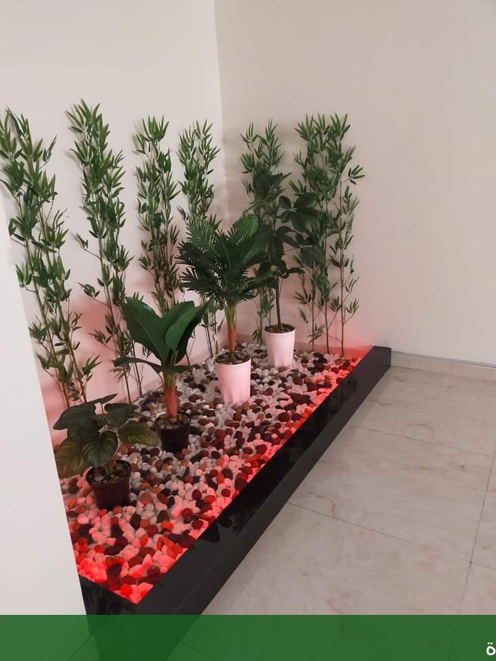 تنسيق حدائق بجدة تصميم حوش - شركة الجمال لتنسيق الحدائق بجدة