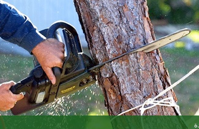 تنسيق حدائق ديكور حدائق بجدة - شركة الجمال لتنسيق الحدائق بجدة