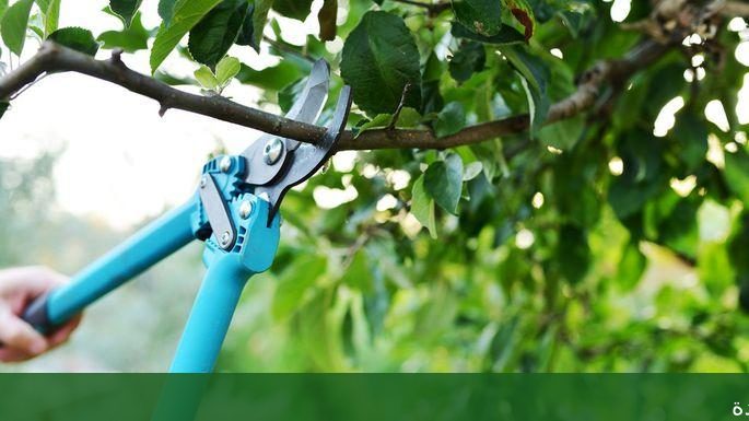 تنسيق حدائق ديكور حدائق بجدة - شركة الجمال لتنسيق الحدائق بجدة