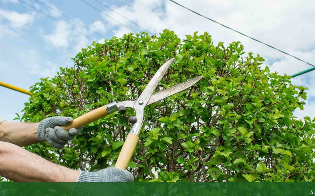 تنسيق حدائق ديكور حدائق بجدة - شركة الجمال لتنسيق الحدائق بجدة