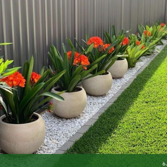 حدائق جدة متخصصون تصميم حديقة - شركة الجمال لتنسيق الحدائق بجدة