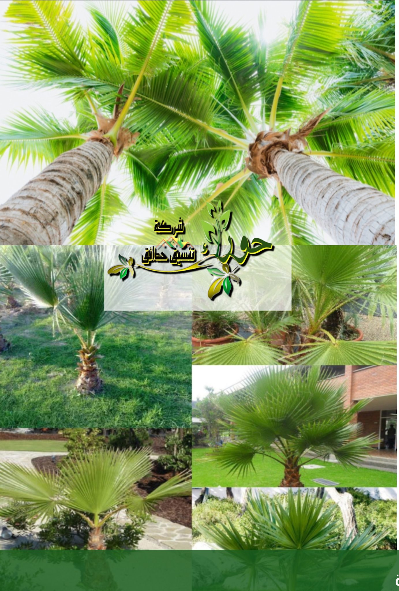 أسعارنجيل صناعى بجده محل تركيب - شركة الجمال لتنسيق الحدائق بجدة