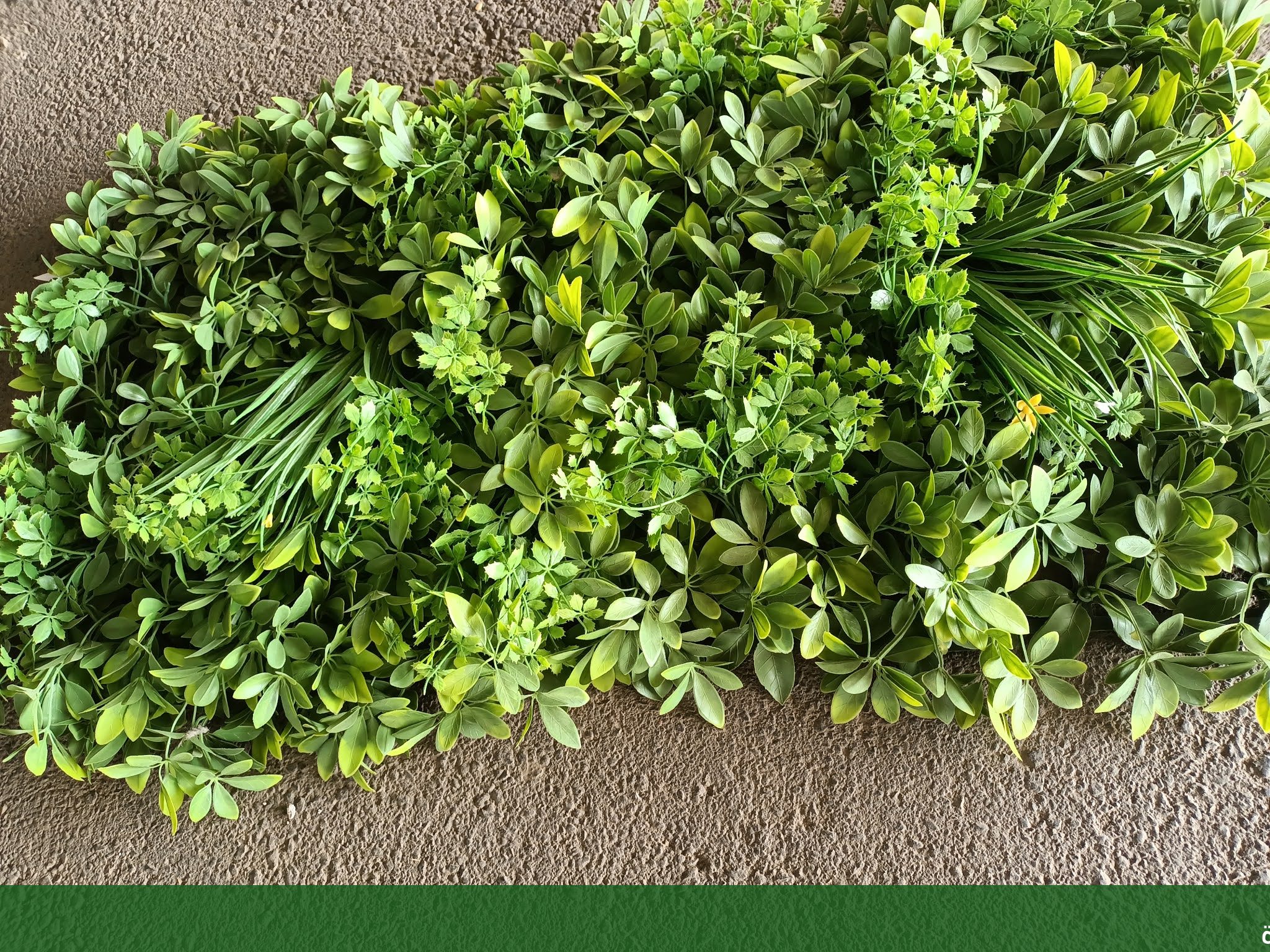 ترتيب حدائق منزلية بجدة تجهيز - شركة الجمال لتنسيق الحدائق بجدة