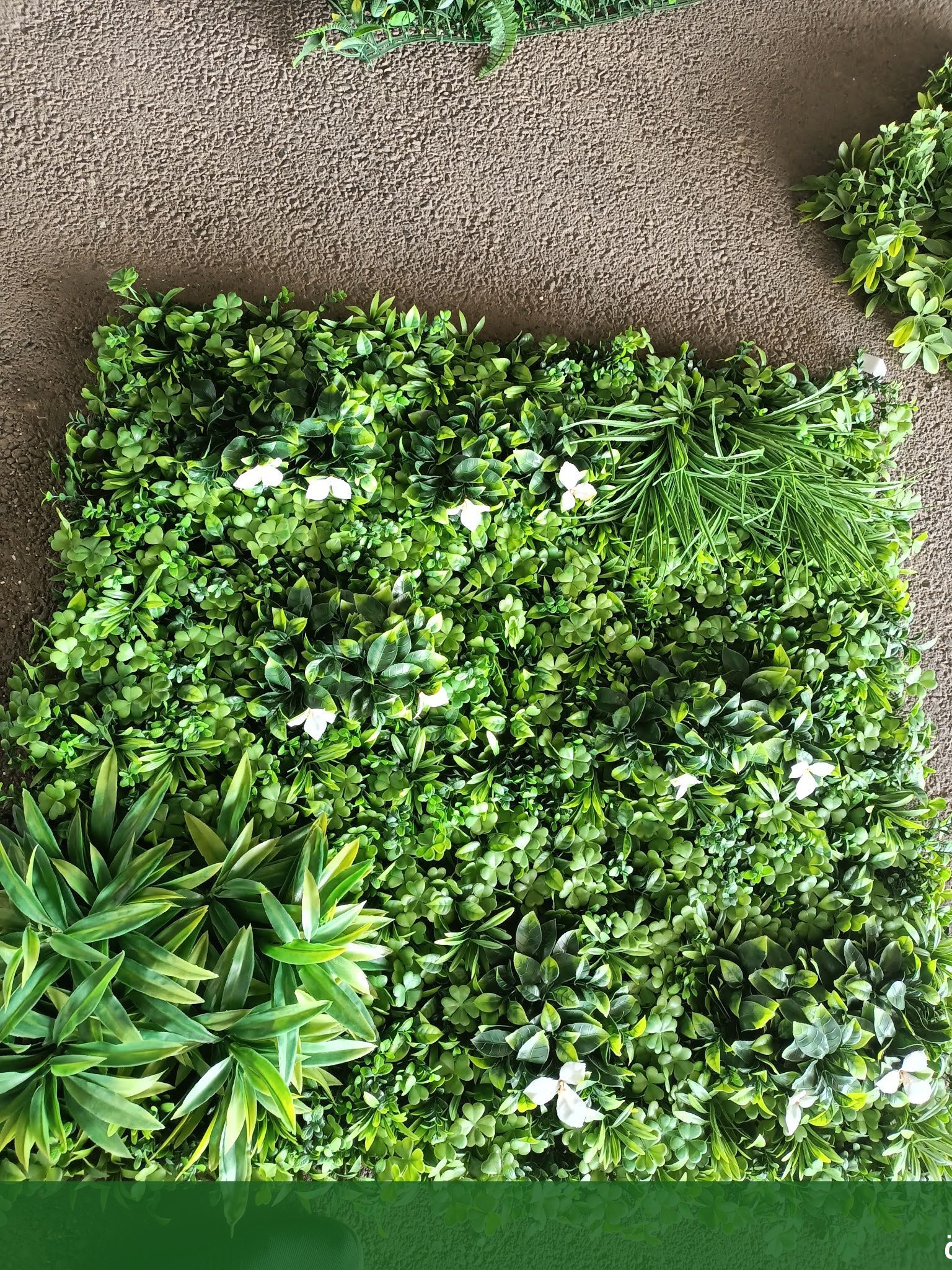 ترتيب حدائق منزلية بجدة تجهيز - شركة الجمال لتنسيق الحدائق بجدة