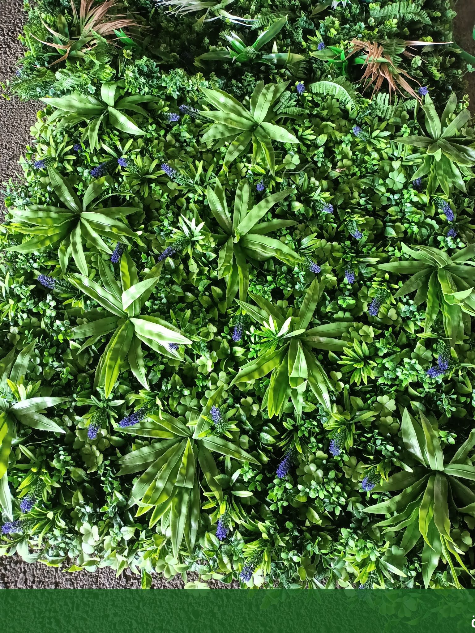 ترتيب حدائق منزلية بجدة تجهيز - شركة الجمال لتنسيق الحدائق بجدة