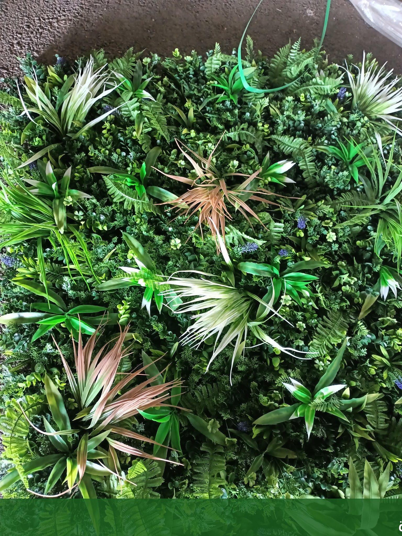 ترتيب حدائق منزلية بجدة تجهيز - شركة الجمال لتنسيق الحدائق بجدة