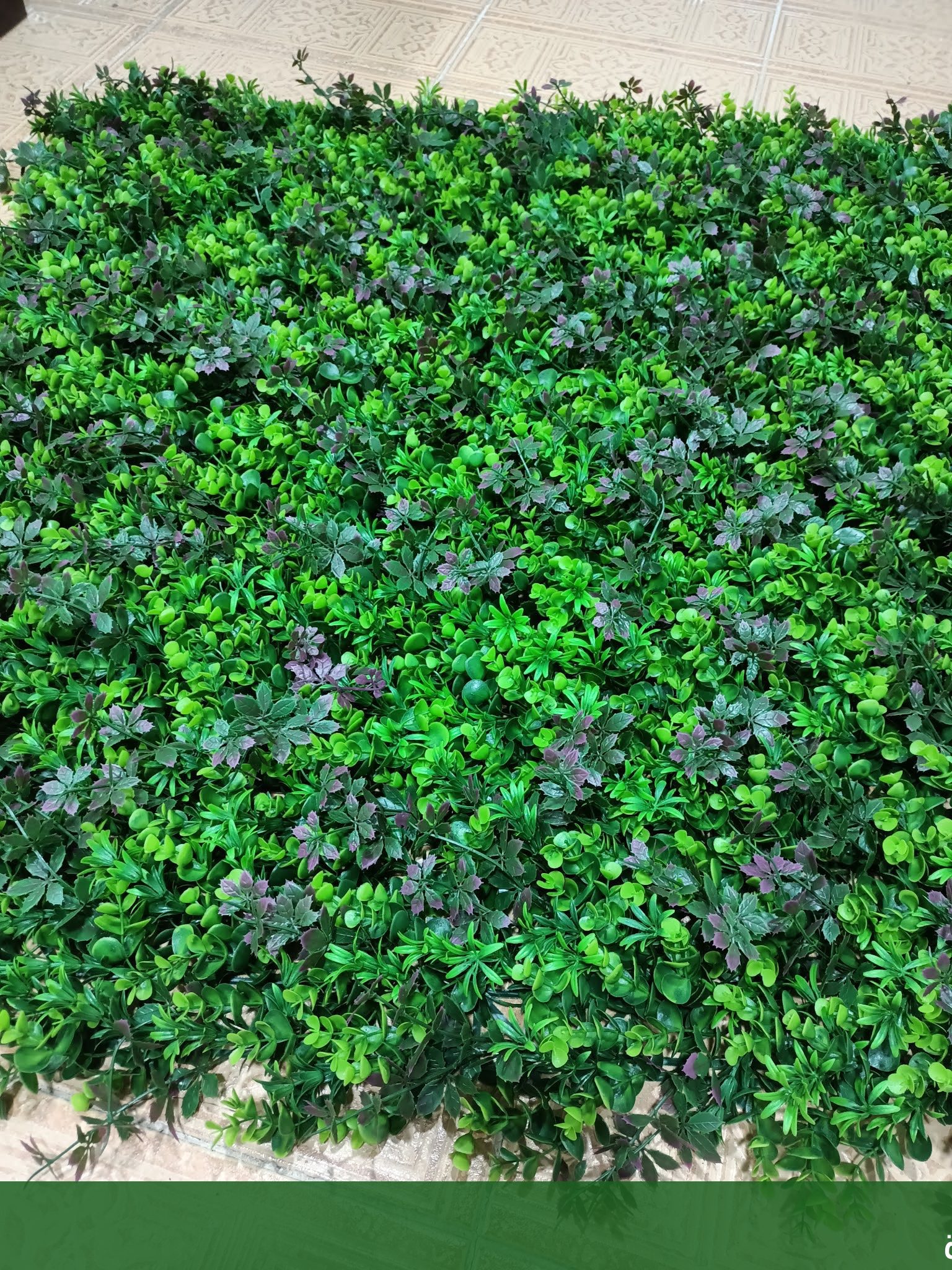 ترتيب حدائق منزلية بجدة تجهيز - شركة الجمال لتنسيق الحدائق بجدة