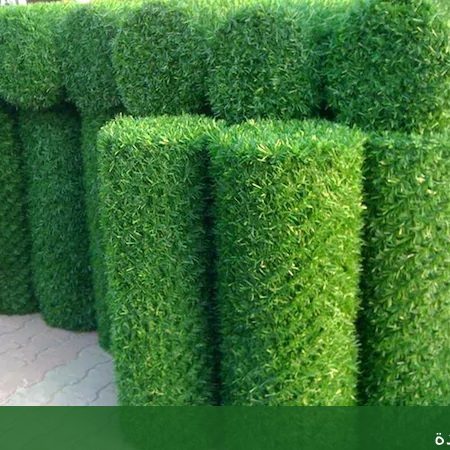 شركة تنسيق حدائق جدة بجدة - شركة الجمال لتنسيق الحدائق بجدة