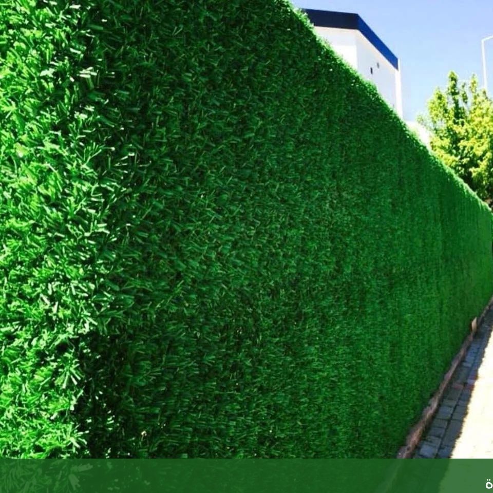 شركة تنسيق حدائق بجدة تصميم - شركة الجمال لتنسيق الحدائق بجدة