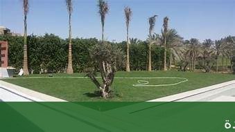 شركة تركيب شبكات الري الأوتوماتيك - شركة الجمال لتنسيق الحدائق بجدة