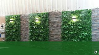 شركة زراعة النخيل بجدة تكريب - شركة الجمال لتنسيق الحدائق بجدة