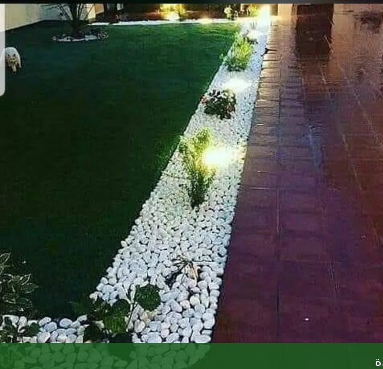 شركة زراعة النخيل بجدة تكريب - شركة الجمال لتنسيق الحدائق بجدة