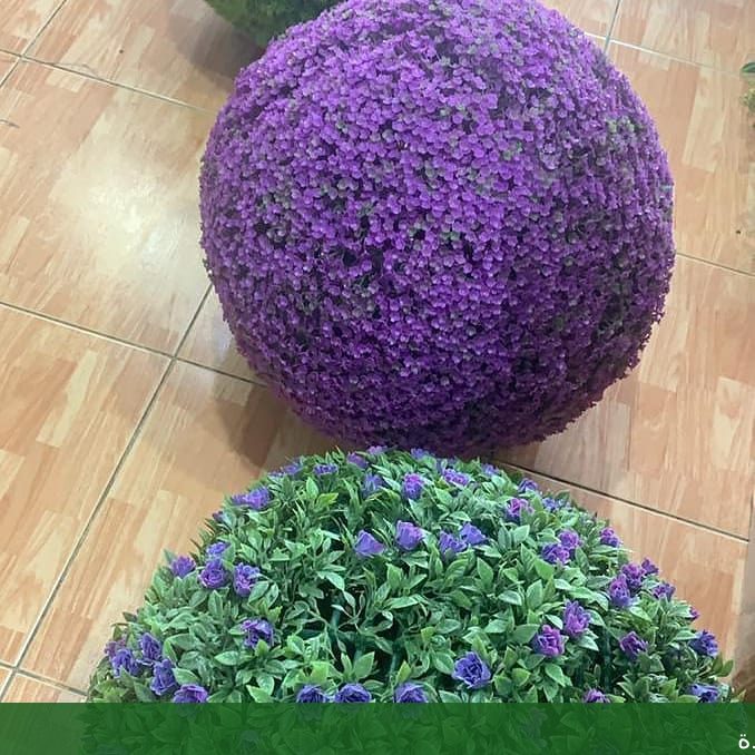 افضل أعمال بستنة وتنسيق الحدائق - شركة الجمال لتنسيق الحدائق بجدة