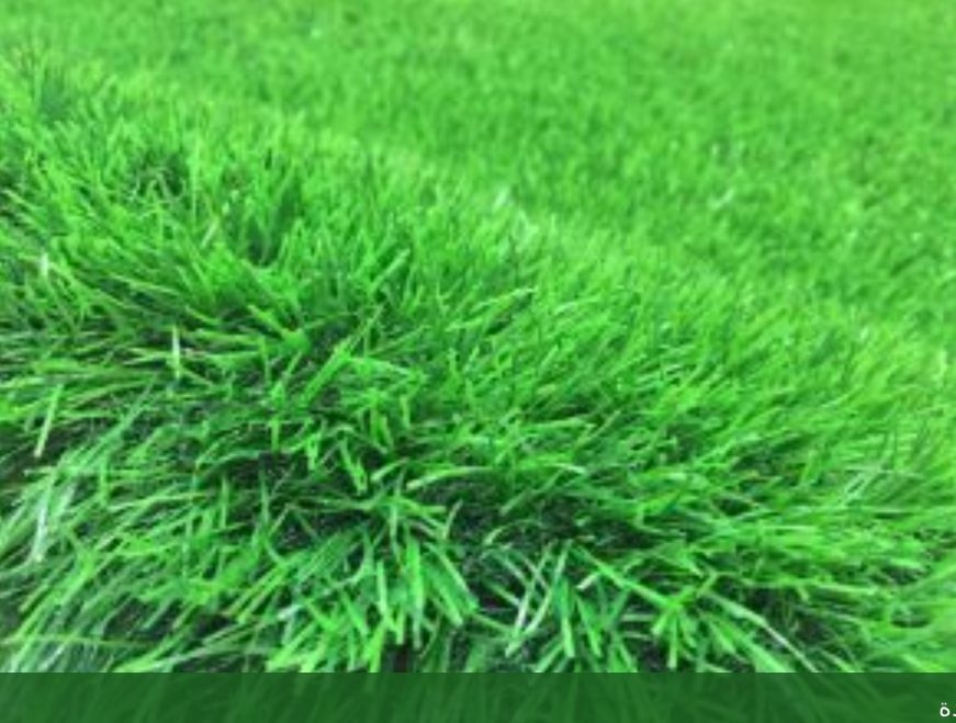 تنسيق حدائق جدة مع شركة - شركة الجمال لتنسيق الحدائق بجدة