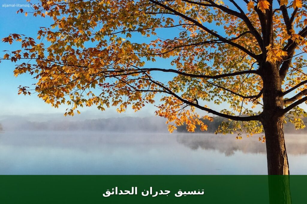 تنسيق جدران الحدائق