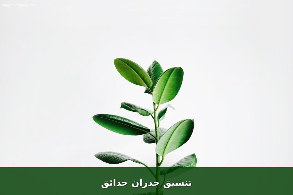 تنسيق جدران حدائق