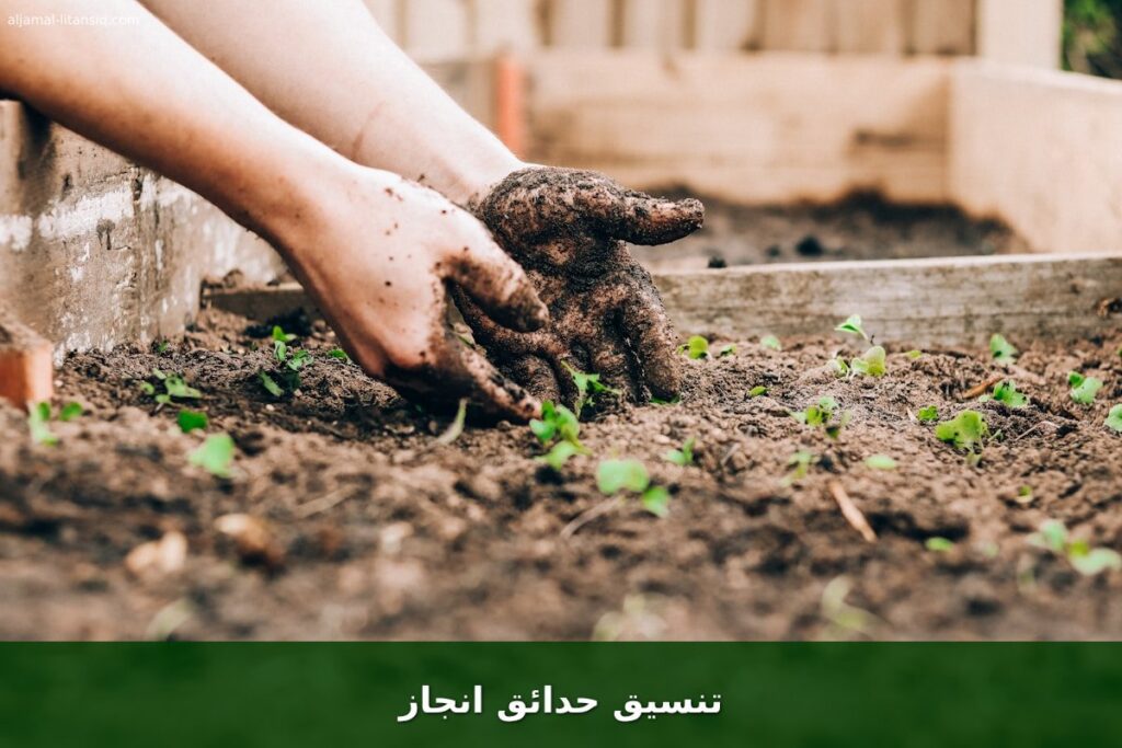 تنسيق حدائق انجاز