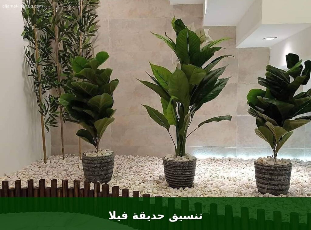 تنسيق حديقة فيلا