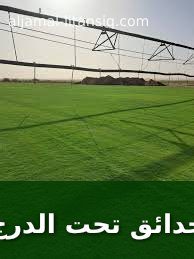 حدائق تحت الدرج