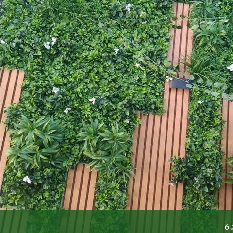 تنسيق الحدائق - الجمال جدة