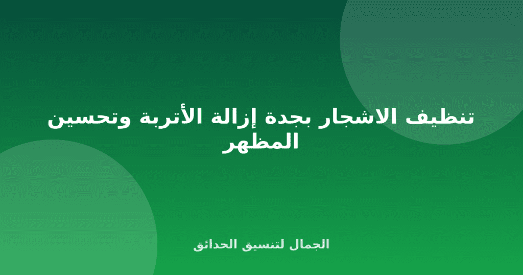 تنظيف الاشجار بجدة إزالة الأتربة وتحسين المظهر
